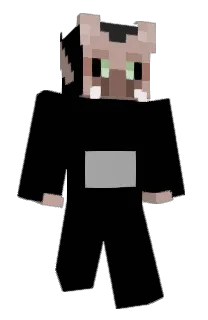 Front of theFOAX's skin