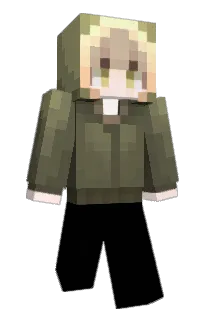 Front of O234's skin