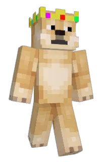 Front of kingdoge_05's skin