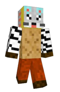 Front of Customnyan's skin