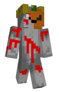 Front of MWQ101's skin
