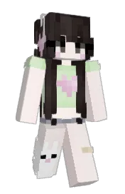 Skin preview