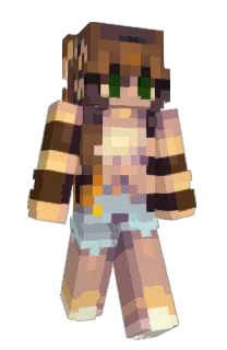 Robin_194's Minecraft skin