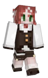 Minecraft skin — Classic model