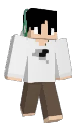 Minecraft skin — Classic model