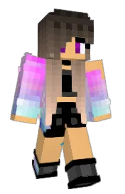 Skin preview