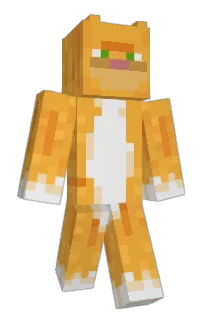 Front of Minecraft skin
