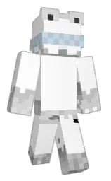 white and silver Minecraft skin — Classic model — first worn by Slwilo