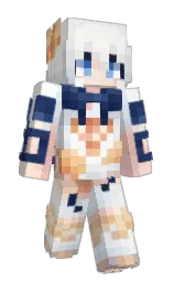 Minecraft skin — Classic model