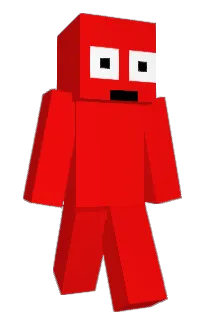 Front of KiwiStorage's skin