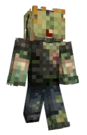 Skin preview