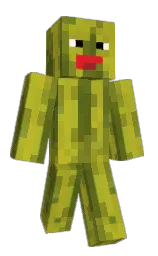 Minecraft skin — Classic model