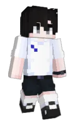 white and cod gray Minecraft skin — Slim model — first worn by LisaPsyna