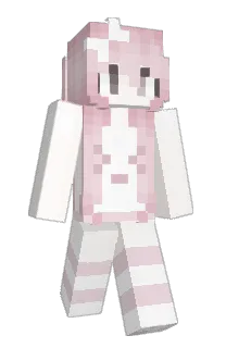 Front of swra's skin