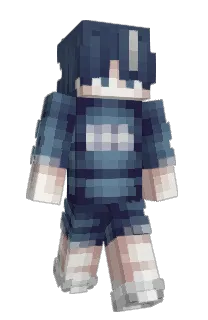 Front of Verzoi's skin
