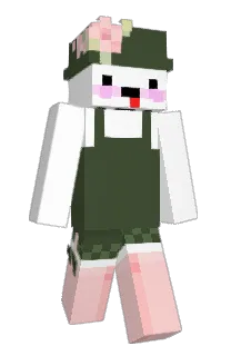 Front of rohxn's skin