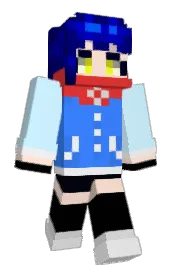 Skin preview