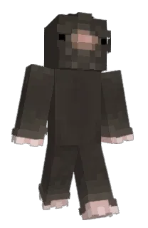 Front of ermall's skin