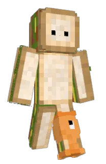 Front of Minecraft skin