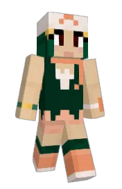 Skin preview
