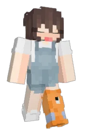 Skin preview