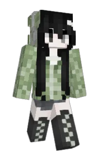 Front of Kovnica's skin