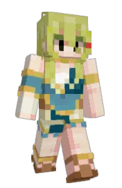 Skin preview