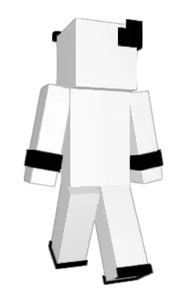 Front of xtalhooni's skin
