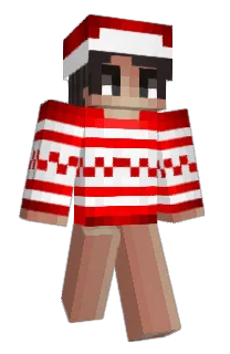 Front of Qescan's skin