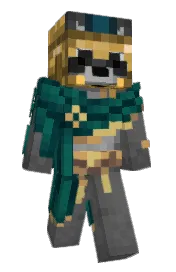 Skin preview