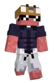 Front of Minecraft skin