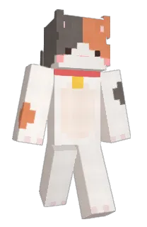 person0_o's Minecraft skin