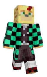 Minecraft skin — Classic model
