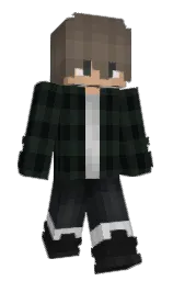 Minecraft skin — Classic model