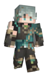 Front of Naviigato's skin