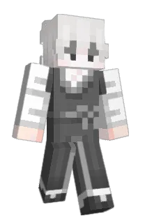 Front of pibi_game's skin