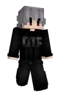 Front of vnmpi's skin