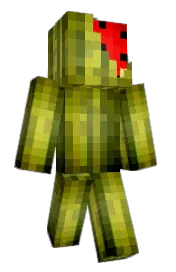 Skin preview