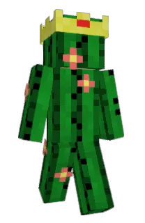 Front of _melp_'s skin
