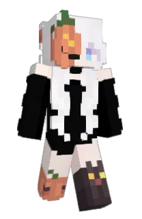 Front of Sopphy's skin