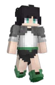 Skin preview