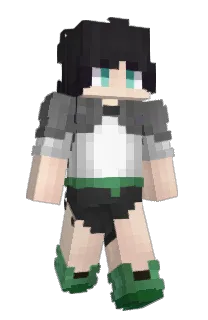 Front of lowinami's skin
