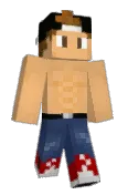 NovatoG