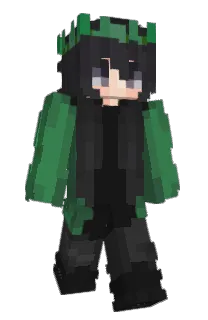 SarBear09's Minecraft skin