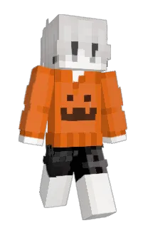 Front of dukco's skin