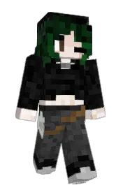 Skin preview