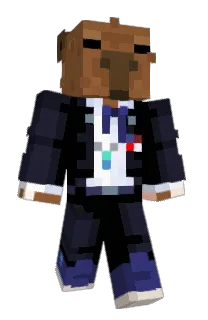 Front of zatider's skin