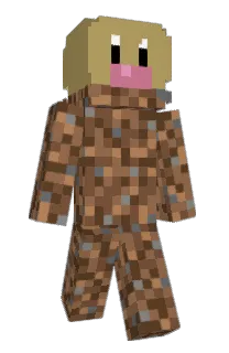 Front of Minecraft skin