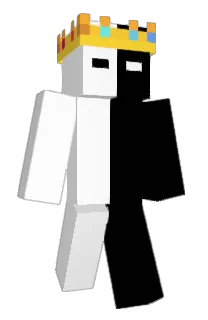 Front of Bru______h's skin