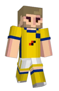 Front of 10apg's skin